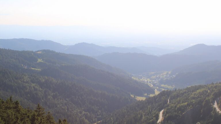 Dieses Bild zeigt eine Webcam-Aufnahme vom Achertal, aufgenommen am Samstag, den 12.07.2025 um 19:40 Uhr. Die Temperatur betrug 19°C.