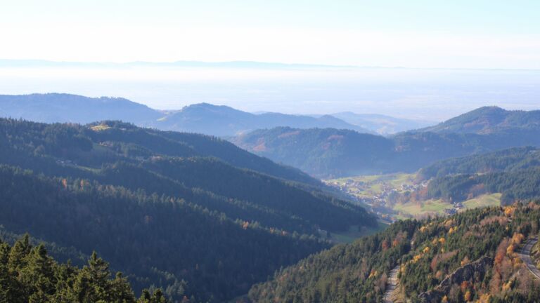 Dieses Bild zeigt eine Webcam-Aufnahme vom Achertal, aufgenommen am Mittwoch, den 05.11.2025 um 15:00 Uhr. Die Temperatur betrug 12.4°C.