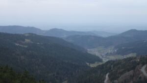 Dieses Bild zeigt eine Webcam-Aufnahme vom Achertal, aufgenommen am Samstag, den 15.11.2025 um 08:00 Uhr. Die Temperatur betrug 11.6°C.