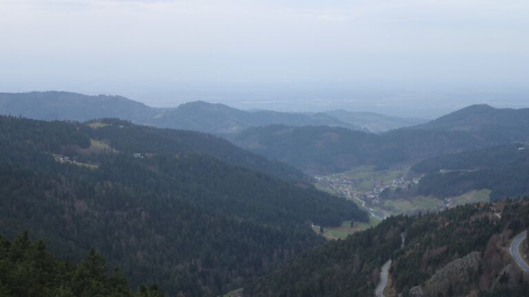 Dieses Bild zeigt eine Webcam-Aufnahme vom Achertal, aufgenommen am Samstag, den 15.11.2025 um 08:00 Uhr. Die Temperatur betrug 11.6°C.