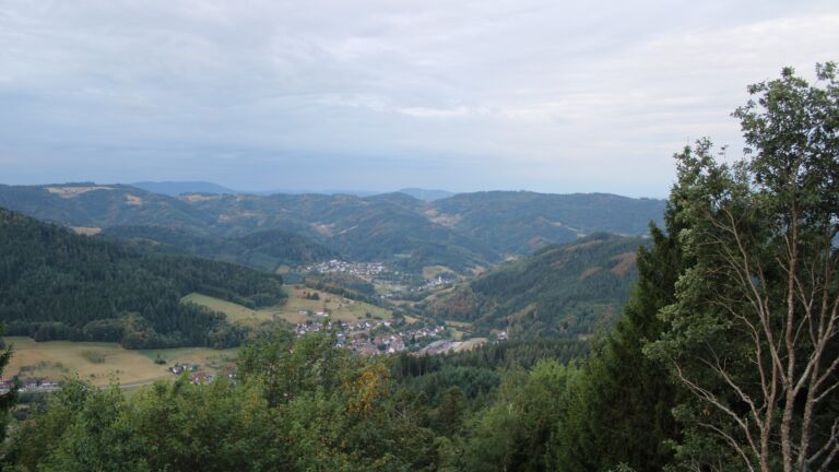 Dieses Bild zeigt eine Webcam-Aufnahme vom Achertal, aufgenommen am Freitag, den 21.08.2026 um 06:50 Uhr. Die Temperatur betrug 15.5°C.