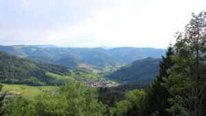 Dieses Bild zeigt eine Webcam-Aufnahme vom Achertal, aufgenommen am Samstag, den 16.05.2026 um 18:30 Uhr. Die Temperatur betrug 10.9°C.