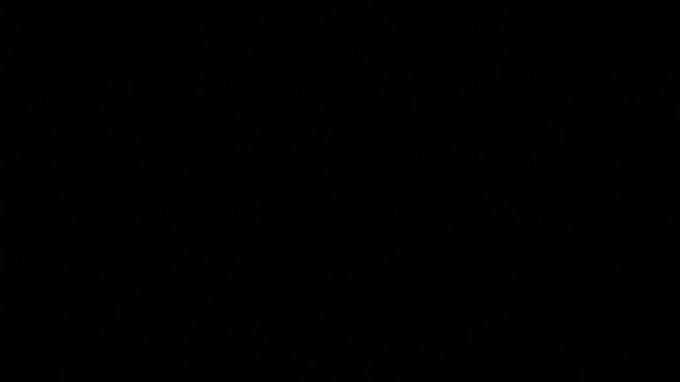 Dieses Bild zeigt eine Webcam-Aufnahme vom Achertal, aufgenommen am Montag, den 11.05.2026 um 01:00 Uhr. Die Temperatur betrug 9.1°C.