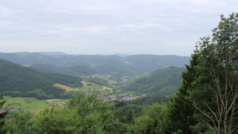 Dieses Bild zeigt eine Webcam-Aufnahme vom Achertal, aufgenommen am Dienstag, den 16.06.2026 um 10:10 Uhr. Die Temperatur betrug 18.8°C.