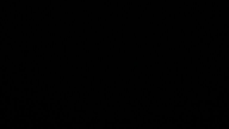 Dieses Bild zeigt eine Webcam-Aufnahme vom Achertal, aufgenommen am Montag, den 23.02.2026 um 05:40 Uhr. Die Temperatur betrug 3.8°C.