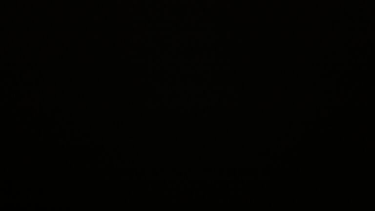 Dieses Bild zeigt eine Webcam-Aufnahme vom Achertal, aufgenommen am Mittwoch, den 26.11.2025 um 05:00 Uhr. Die Temperatur betrug -0.7°C.