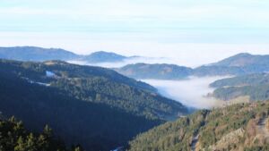 Dieses Bild zeigt eine Webcam-Aufnahme vom Achertal, aufgenommen am Freitag, den 23.01.2026 um 11:00 Uhr. Die Temperatur betrug 6.2°C.