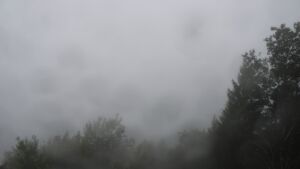 Dieses Bild zeigt eine Webcam-Aufnahme vom Achertal, aufgenommen am Donnerstag, den 08.10.2026 um 16:50 Uhr. Die Temperatur betrug 9.1°C.