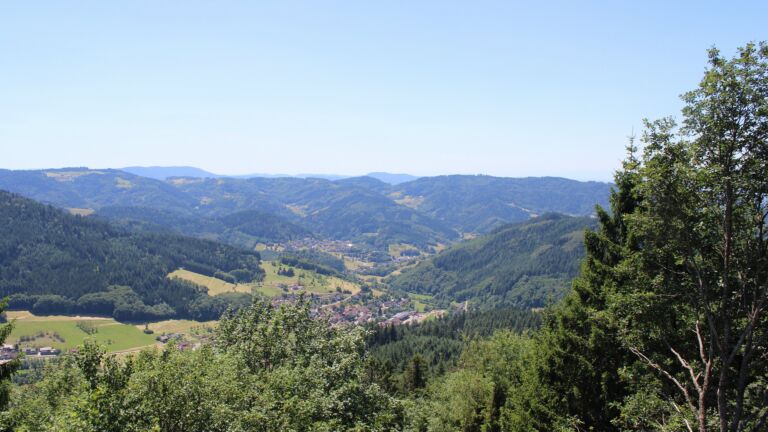 Dieses Bild zeigt eine Webcam-Aufnahme vom Achertal, aufgenommen am Samstag, den 04.07.2026 um 13:50 Uhr. Die Temperatur betrug 22.5°C.