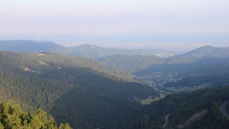 Dieses Bild zeigt eine Webcam-Aufnahme vom Achertal, aufgenommen am Freitag, den 11.07.2025 um 06:50 Uhr. Die Temperatur betrug 14.2°C.