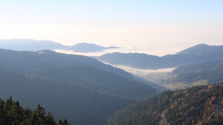 Dieses Bild zeigt eine Webcam-Aufnahme vom Achertal, aufgenommen am Samstag, den 08.11.2025 um 15:10 Uhr. Die Temperatur betrug 11.3°C.