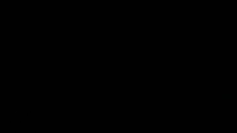 Dieses Bild zeigt eine Webcam-Aufnahme vom Achertal, aufgenommen am Donnerstag, den 29.05.2025 um 01:30 Uhr. Die Temperatur betrug 8°C.