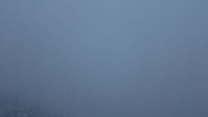 Dieses Bild zeigt eine Webcam-Aufnahme vom Achertal, aufgenommen am Mittwoch, den 26.11.2025 um 08:10 Uhr. Die Temperatur betrug -1°C.