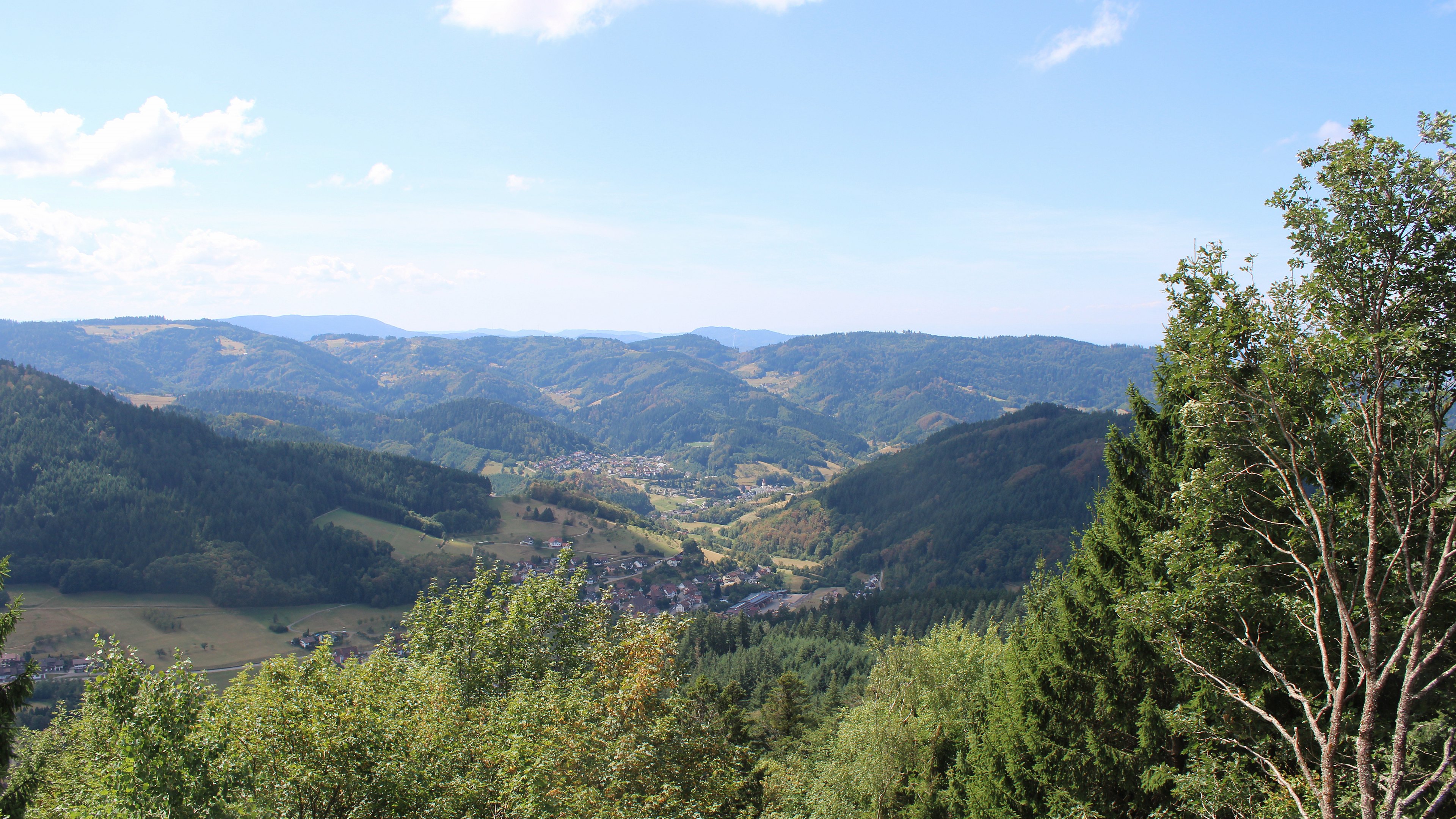 Zum Fotoarchiv vom Sonntag, 23. August 2026