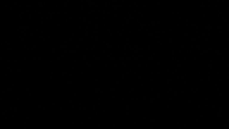Dieses Bild zeigt eine Webcam-Aufnahme vom Achertal, aufgenommen am Montag, den 11.05.2026 um 02:30 Uhr. Die Temperatur betrug 9.1°C.