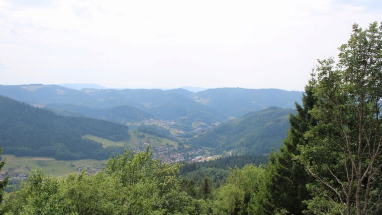 Dieses Bild zeigt eine Webcam-Aufnahme vom Achertal, aufgenommen am Mittwoch, den 15.07.2026 um 14:40 Uhr. Die Temperatur betrug 27.3°C.