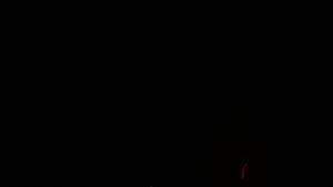 Dieses Bild zeigt eine Webcam-Aufnahme vom Achertal, aufgenommen am Montag, den 21.04.2025 um 22:30 Uhr. Die Temperatur betrug 5.1°C.