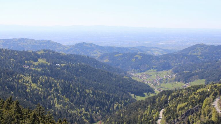 Dieses Bild zeigt eine Webcam-Aufnahme vom Achertal, aufgenommen am Freitag, den 24.04.2026 um 15:30 Uhr. Die Temperatur betrug 14.5°C.