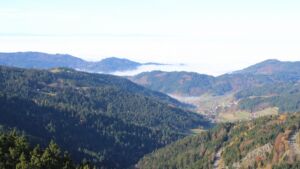 Dieses Bild zeigt eine Webcam-Aufnahme vom Achertal, aufgenommen am Freitag, den 07.11.2025 um 10:50 Uhr. Die Temperatur betrug 11.5°C.