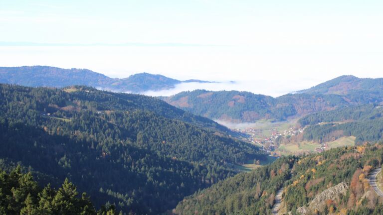 Dieses Bild zeigt eine Webcam-Aufnahme vom Achertal, aufgenommen am Freitag, den 07.11.2025 um 10:50 Uhr. Die Temperatur betrug 11.5°C.