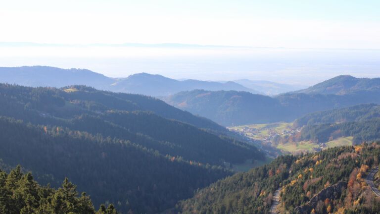 Dieses Bild zeigt eine Webcam-Aufnahme vom Achertal, aufgenommen am Mittwoch, den 05.11.2025 um 15:20 Uhr. Die Temperatur betrug 12.2°C.