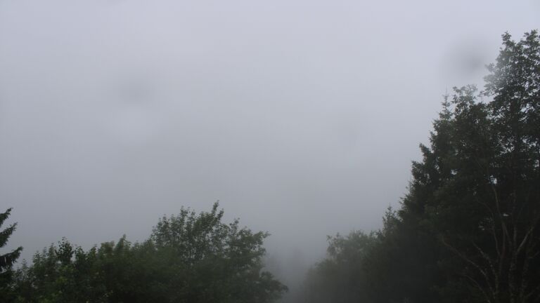 Dieses Bild zeigt eine Webcam-Aufnahme vom Achertal, aufgenommen am Mittwoch, den 01.07.2026 um 08:30 Uhr. Die Temperatur betrug 16.9°C.