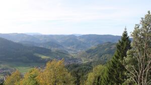 Dieses Bild zeigt eine Webcam-Aufnahme vom Achertal, aufgenommen am Donnerstag, den 29.10.2026 um 11:00 Uhr. Die Temperatur betrug 9.5°C.