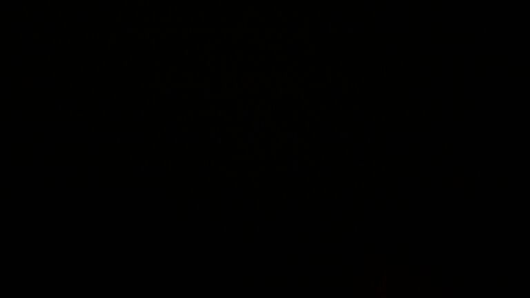 Dieses Bild zeigt eine Webcam-Aufnahme vom Achertal, aufgenommen am Dienstag, den 25.11.2025 um 05:30 Uhr. Die Temperatur betrug 0.1°C.