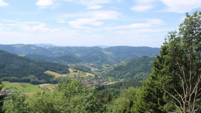 Dieses Bild zeigt eine Webcam-Aufnahme vom Achertal, aufgenommen am Mittwoch, den 17.06.2026 um 12:50 Uhr. Die Temperatur betrug 24.6°C.