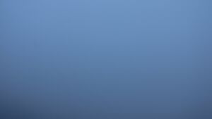 Dieses Bild zeigt eine Webcam-Aufnahme vom Achertal, aufgenommen am Sonntag, den 01.02.2026 um 08:30 Uhr. Die Temperatur betrug 2.5°C.