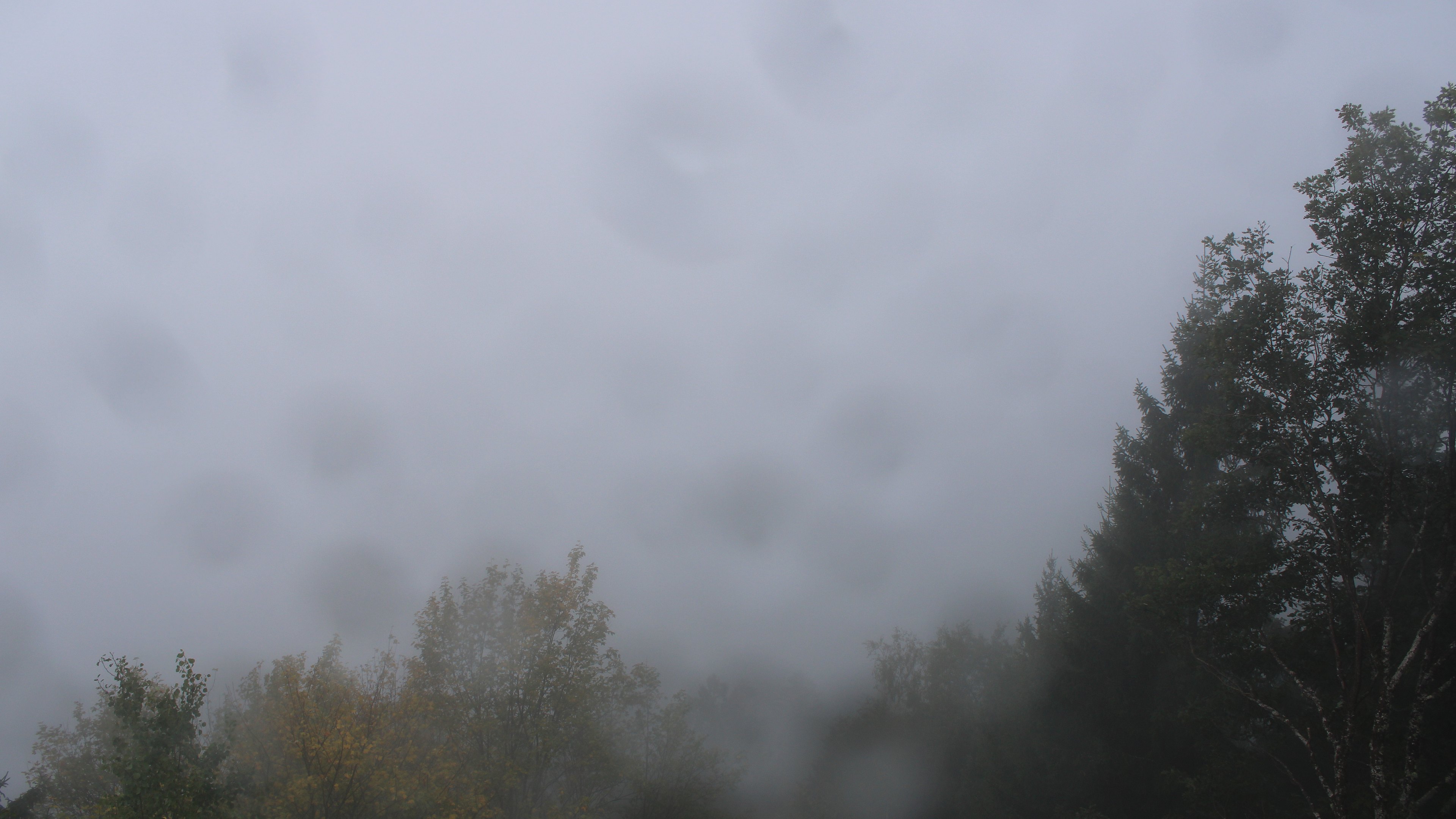 Dieses Bild zeigt eine Webcam-Aufnahme vom Achertal, aufgenommen am Mittwoch, den 28.10.2026 um 10:10 Uhr. Die Temperatur betrug 7.2°C.