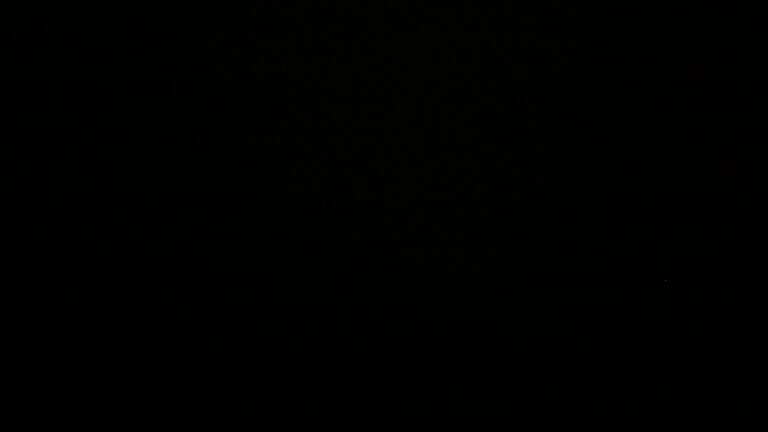 Dieses Bild zeigt eine Webcam-Aufnahme vom Achertal, aufgenommen am Sonntag, den 21.09.2025 um 23:30 Uhr. Die Temperatur betrug 8.1°C.