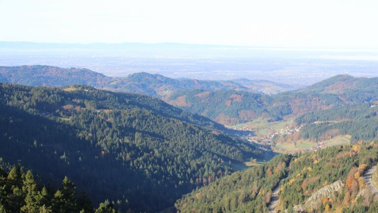 Dieses Bild zeigt eine Webcam-Aufnahme vom Achertal, aufgenommen am Dienstag, den 04.11.2025 um 09:50 Uhr. Die Temperatur betrug 10.4°C.