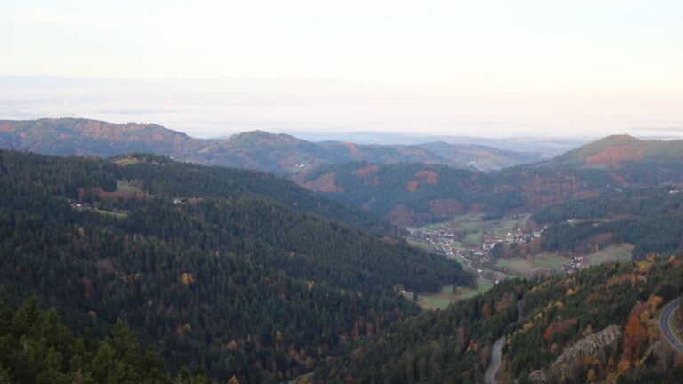 Dieses Bild zeigt eine Webcam-Aufnahme vom Achertal, aufgenommen am Freitag, den 31.10.2025 um 07:40 Uhr. Die Temperatur betrug 7.9°C.