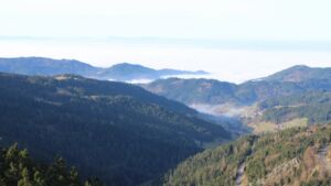 Dieses Bild zeigt eine Webcam-Aufnahme vom Achertal, aufgenommen am Sonntag, den 21.12.2025 um 11:40 Uhr. Die Temperatur betrug 6.8°C.