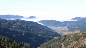 Dieses Bild zeigt eine Webcam-Aufnahme vom Achertal, aufgenommen am Freitag, den 07.11.2025 um 11:50 Uhr. Die Temperatur betrug 10.8°C.