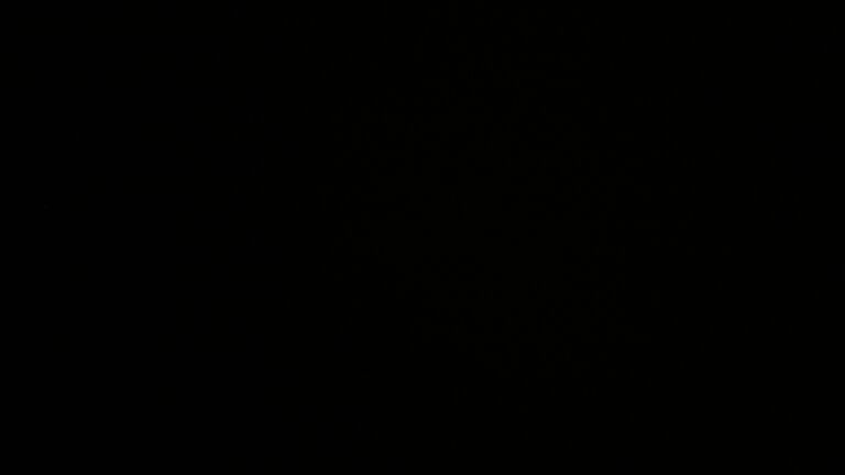 Dieses Bild zeigt eine Webcam-Aufnahme vom Achertal, aufgenommen am Sonntag, den 14.09.2025 um 23:30 Uhr. Die Temperatur betrug 11.9°C.