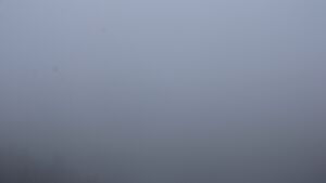 Dieses Bild zeigt eine Webcam-Aufnahme vom Achertal, aufgenommen am Dienstag, den 17.03.2026 um 09:00 Uhr. Die Temperatur betrug 2.3°C.