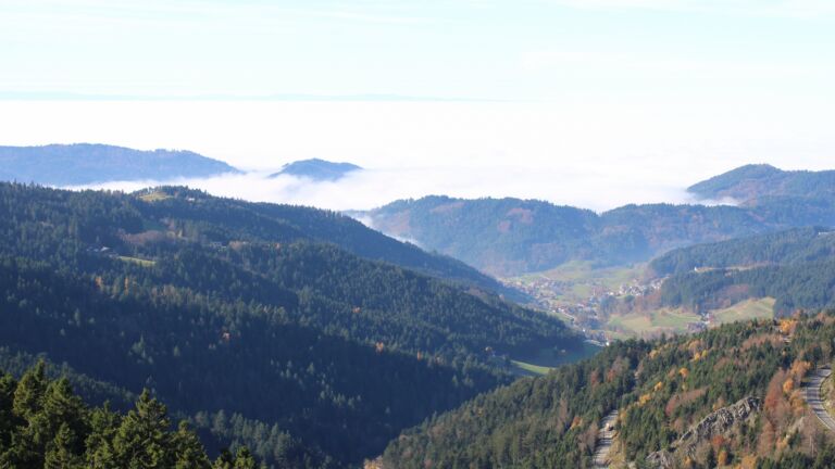 Dieses Bild zeigt eine Webcam-Aufnahme vom Achertal, aufgenommen am Freitag, den 07.11.2025 um 12:40 Uhr. Die Temperatur betrug 11.1°C.