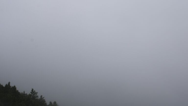 Dieses Bild zeigt eine Webcam-Aufnahme vom Achertal, aufgenommen am Dienstag, den 08.07.2025 um 08:50 Uhr. Die Temperatur betrug 6°C.