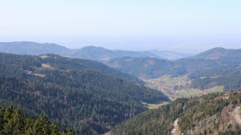 Dieses Bild zeigt eine Webcam-Aufnahme vom Achertal, aufgenommen am Donnerstag, den 05.03.2026 um 12:50 Uhr. Die Temperatur betrug 14.2°C.