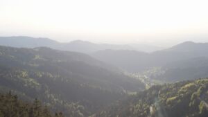 Dieses Bild zeigt eine Webcam-Aufnahme vom Achertal, aufgenommen am Samstag, den 25.04.2026 um 19:20 Uhr. Die Temperatur betrug 13.7°C.