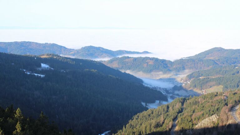 Dieses Bild zeigt eine Webcam-Aufnahme vom Achertal, aufgenommen am Mittwoch, den 21.01.2026 um 10:00 Uhr. Die Temperatur betrug 9.4°C.