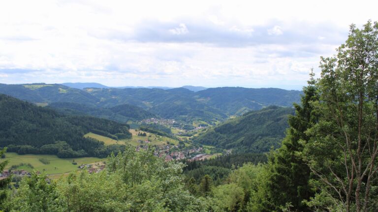Dieses Bild zeigt eine Webcam-Aufnahme vom Achertal, aufgenommen am Donnerstag, den 11.06.2026 um 14:30 Uhr. Die Temperatur betrug 12.7°C.