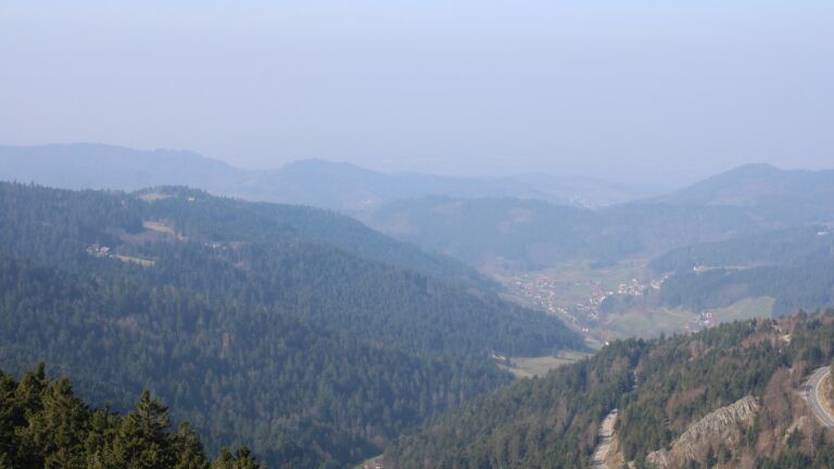 Dieses Bild zeigt eine Webcam-Aufnahme vom Achertal, aufgenommen am Sonntag, den 08.03.2026 um 11:00 Uhr. Die Temperatur betrug 14.1°C.