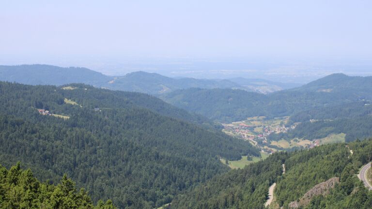 Dieses Bild zeigt eine Webcam-Aufnahme vom Achertal, aufgenommen am Donnerstag, den 12.06.2025 um 12:20 Uhr. Die Temperatur betrug 22.4°C.