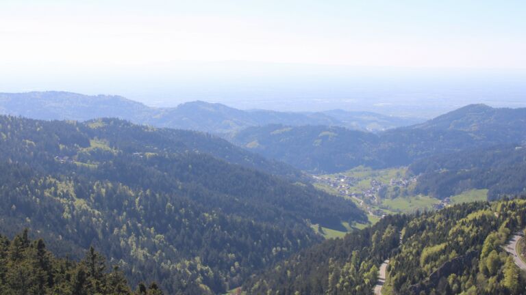 Dieses Bild zeigt eine Webcam-Aufnahme vom Achertal, aufgenommen am Samstag, den 25.04.2026 um 16:50 Uhr. Die Temperatur betrug 14.6°C.