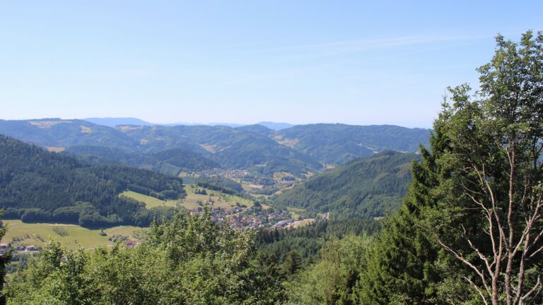 Dieses Bild zeigt eine Webcam-Aufnahme vom Achertal, aufgenommen am Freitag, den 24.07.2026 um 12:40 Uhr. Die Temperatur betrug 22.8°C.