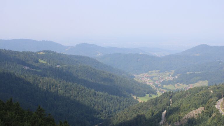 Dieses Bild zeigt eine Webcam-Aufnahme vom Achertal, aufgenommen am Freitag, den 15.08.2025 um 11:50 Uhr. Die Temperatur betrug 26.5°C.