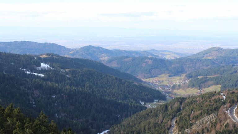 Dieses Bild zeigt eine Webcam-Aufnahme vom Achertal, aufgenommen am Freitag, den 16.01.2026 um 11:50 Uhr. Die Temperatur betrug 8.6°C.